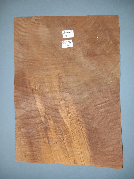 CONSECUTIVE SHEETS OF EUROPEAN WALNUT BURR VENEER   17 X 24 CM