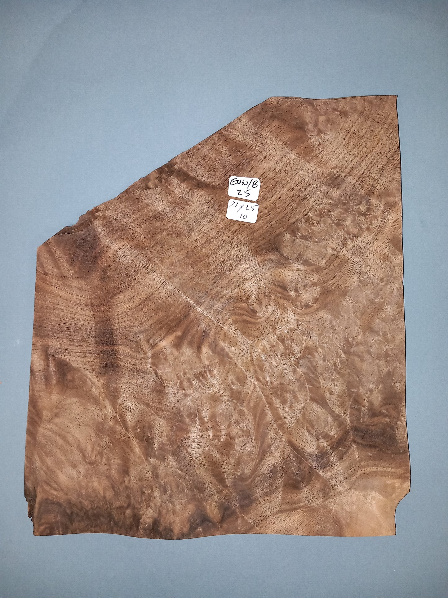 CONSECUTIVE SHEETS OF EUROPEAN WALNUT BURR VENEER   21 X 25 CM