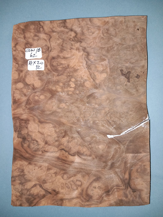 CONSECUTIVE SHEETS OF EUROPEAN WALNUT BURR VENEER   14 X 20 CM