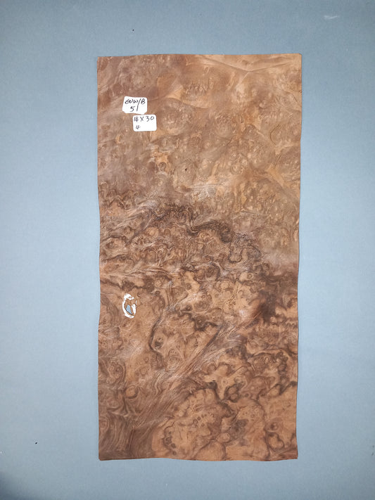 CONSECUTIVE SHEETS OF EUROPEAN WALNUT BURR VENEER  14 X 30 CM