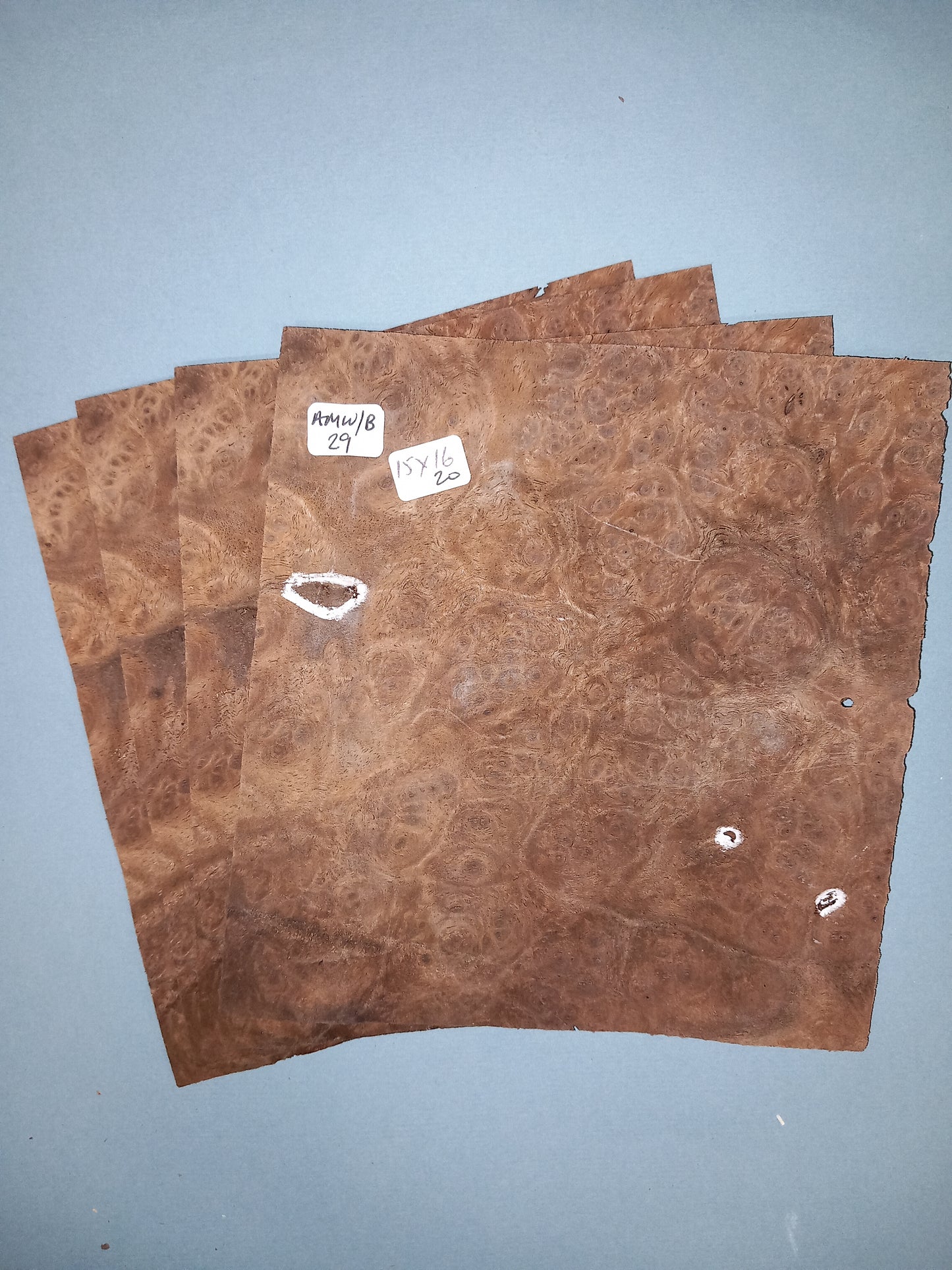 4 CONSECUTIVE SHEETS OF AMERICAN WALNUT BURR VENEER    15 X 16 CM