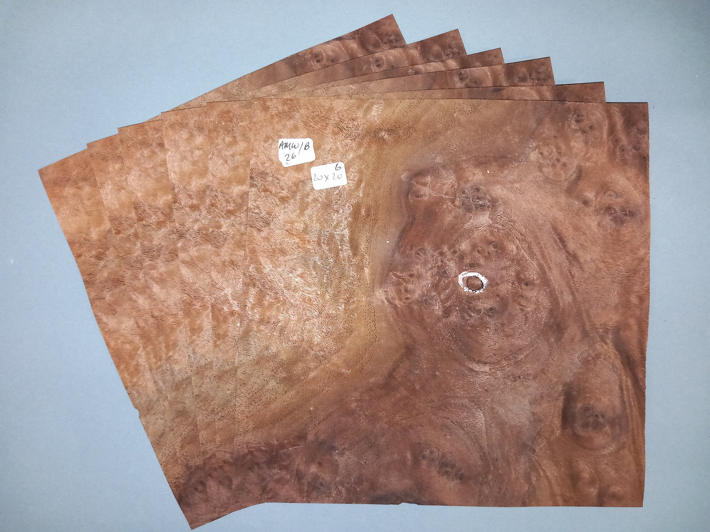 6 CONSECUTIVE SHEETS OF AMERICAN WALNUT BURR VENEER    20 X 20 CM