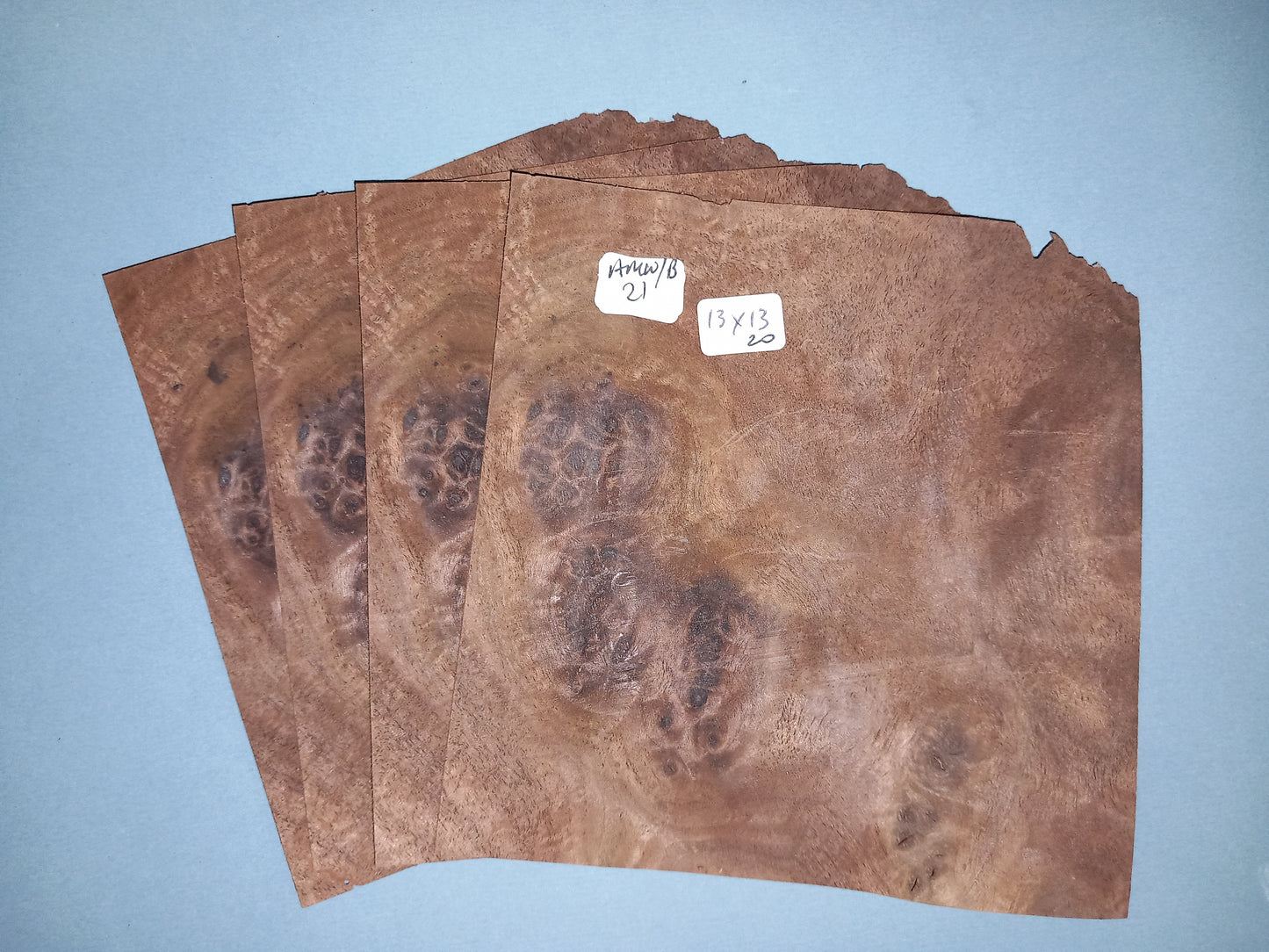 4 CONSECUTIVE SHEETS OF AMERICAN WALNUT BURR VENEER    13 X 13 CM