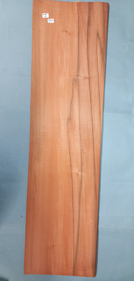 TINEO/INDIAN APPLE - 1 CONSECUTIVE SHEET 21x79cm