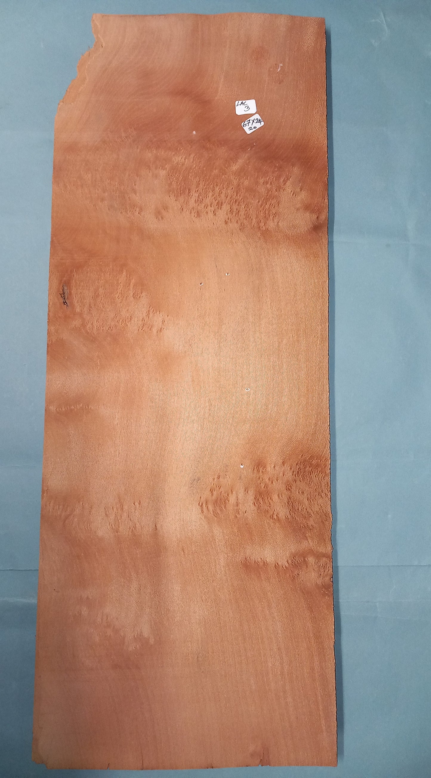 LARGE CONSECUTIVE SHEETS OF LACEWOOD CLUSTER VENEER   76 X 24 CM