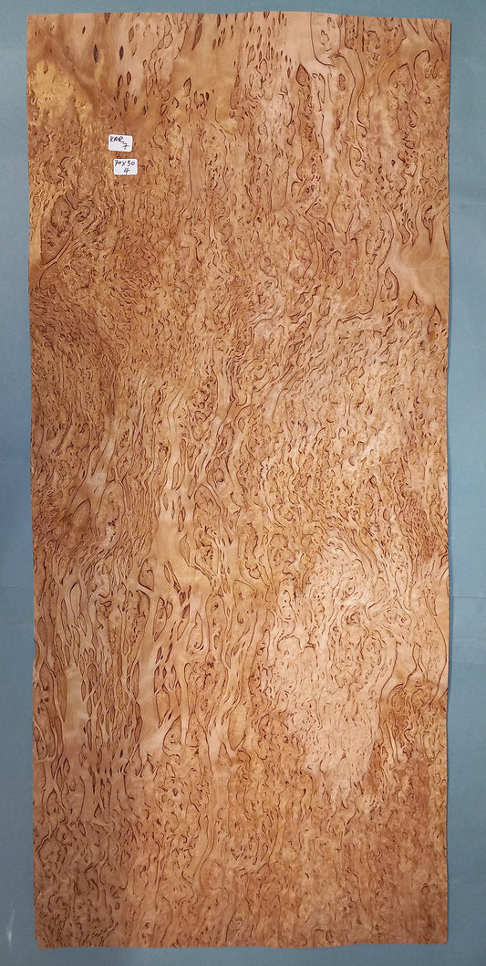 KARELIAN BIRCH - 1 CONSECUTIVE SHEET 30x70cm
