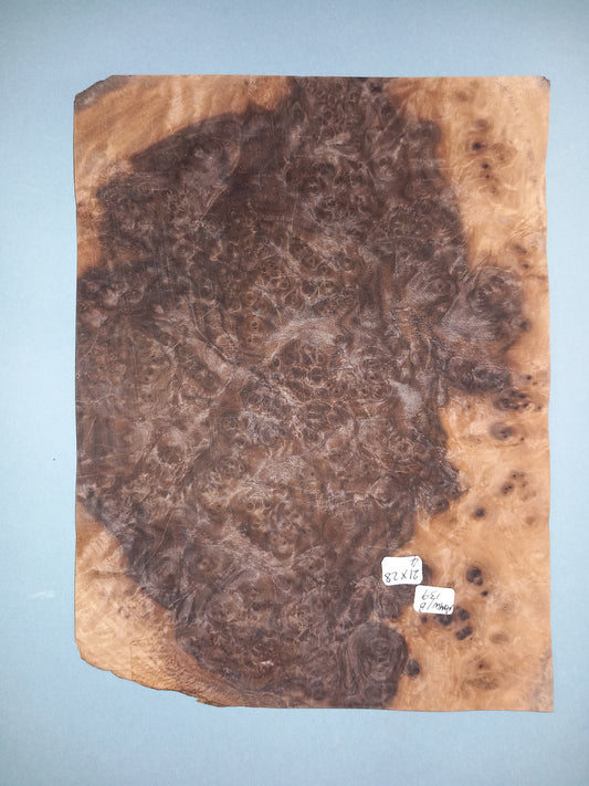 CONSECUTIVE SHEETS OF AMERICAN WALNUT BURR VENEER   21 X 28 CM