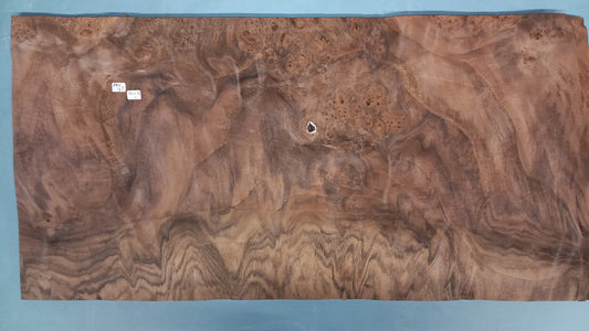 LARGE CONSECUTIVE SHEETS OF AMERICAN BURR WALNUT VENEER    74 X 37 CM