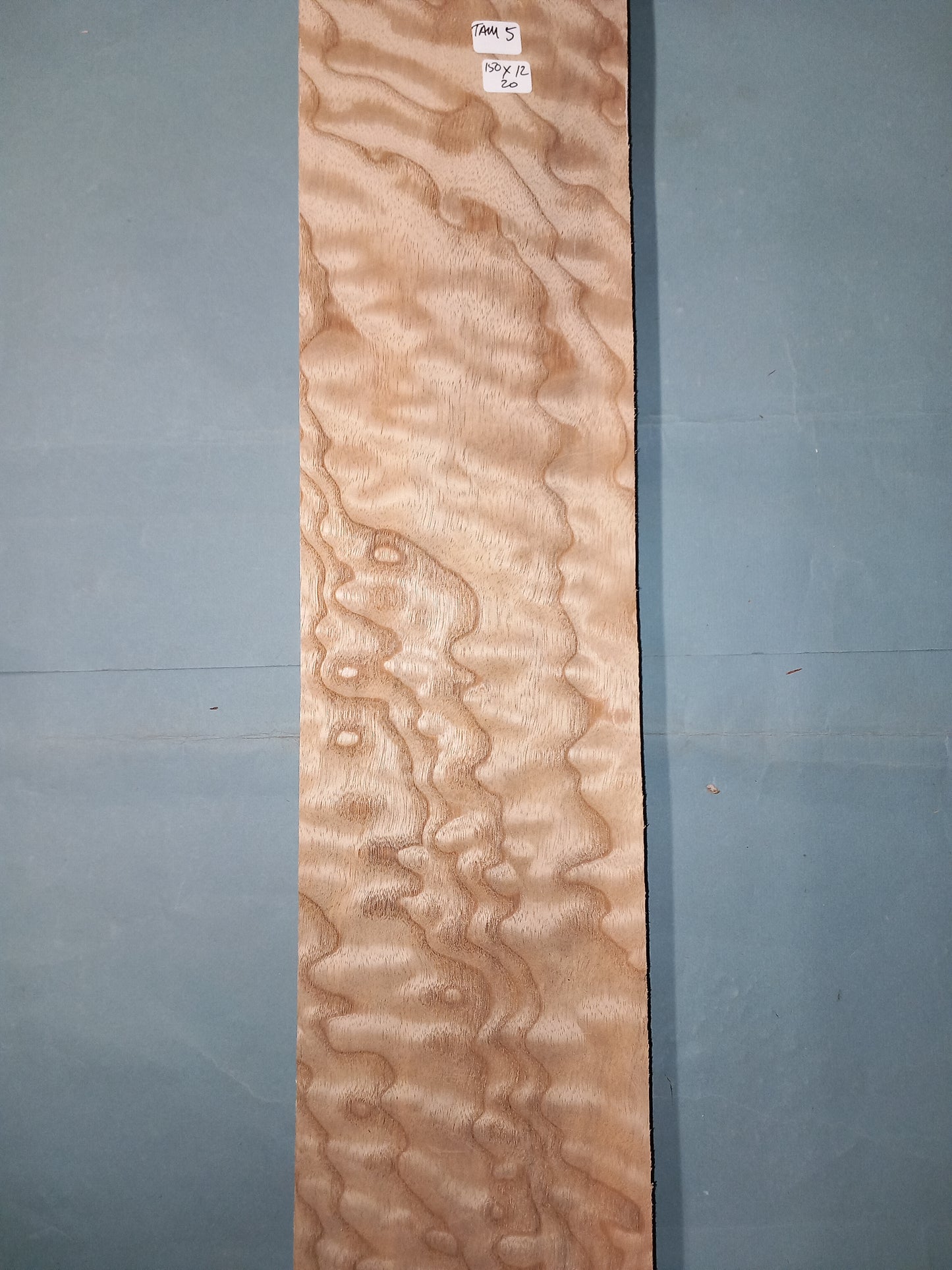 LARGE CONSECUTIVE SHEETS OF TAMO ASH VENEER    150 X 12 CM