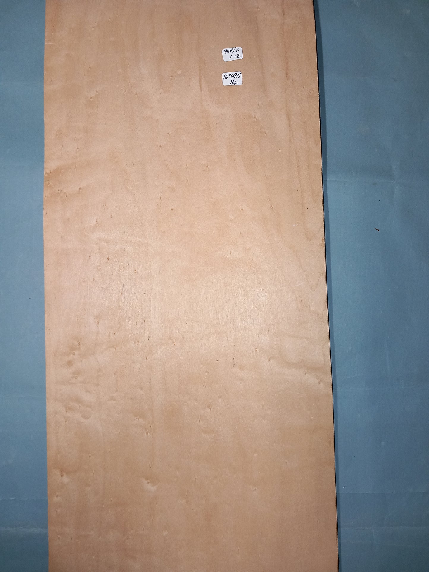 LARGE CONSECUTIVE SHEETS OF FIGURED MAPLE VENEER   160 X 25 CM