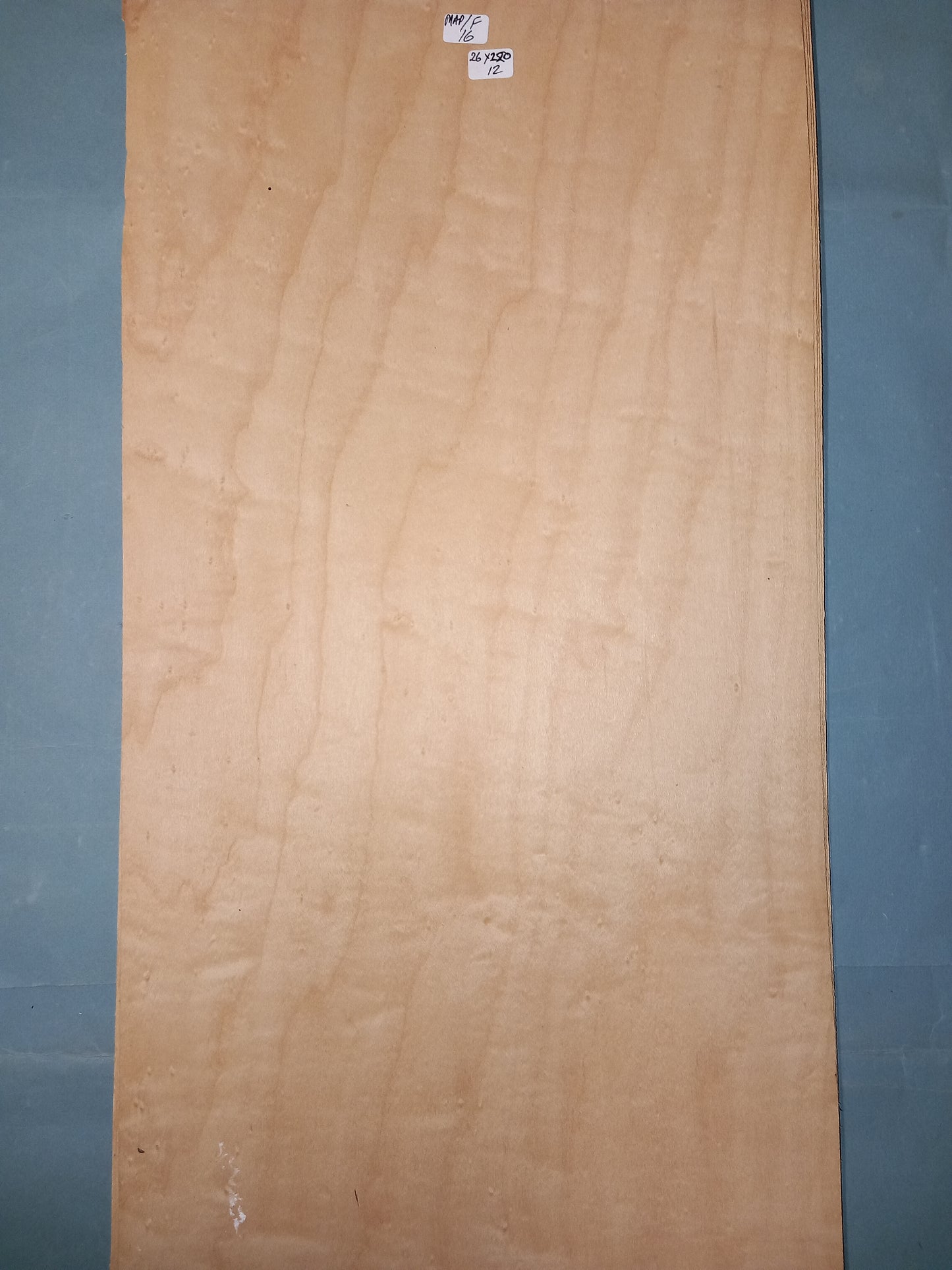 LARGE CONSECUTIVE SHEETS OF FIGURED MAPLE VENEER   26 X 220 CM