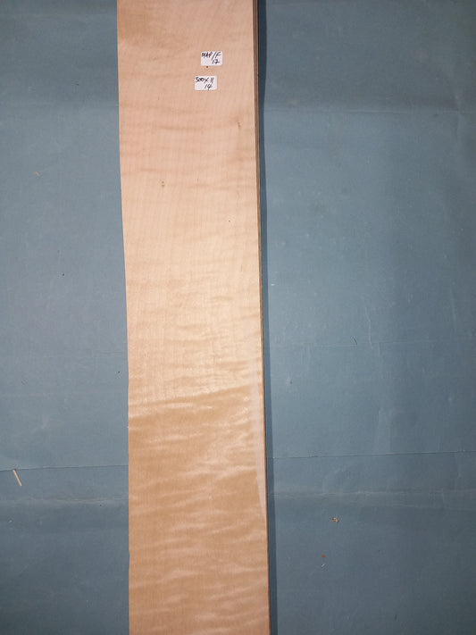 LARGE CONSECUTIVE SHEETS OF FIGURED MAPLE VENEER  300 X 11 CM