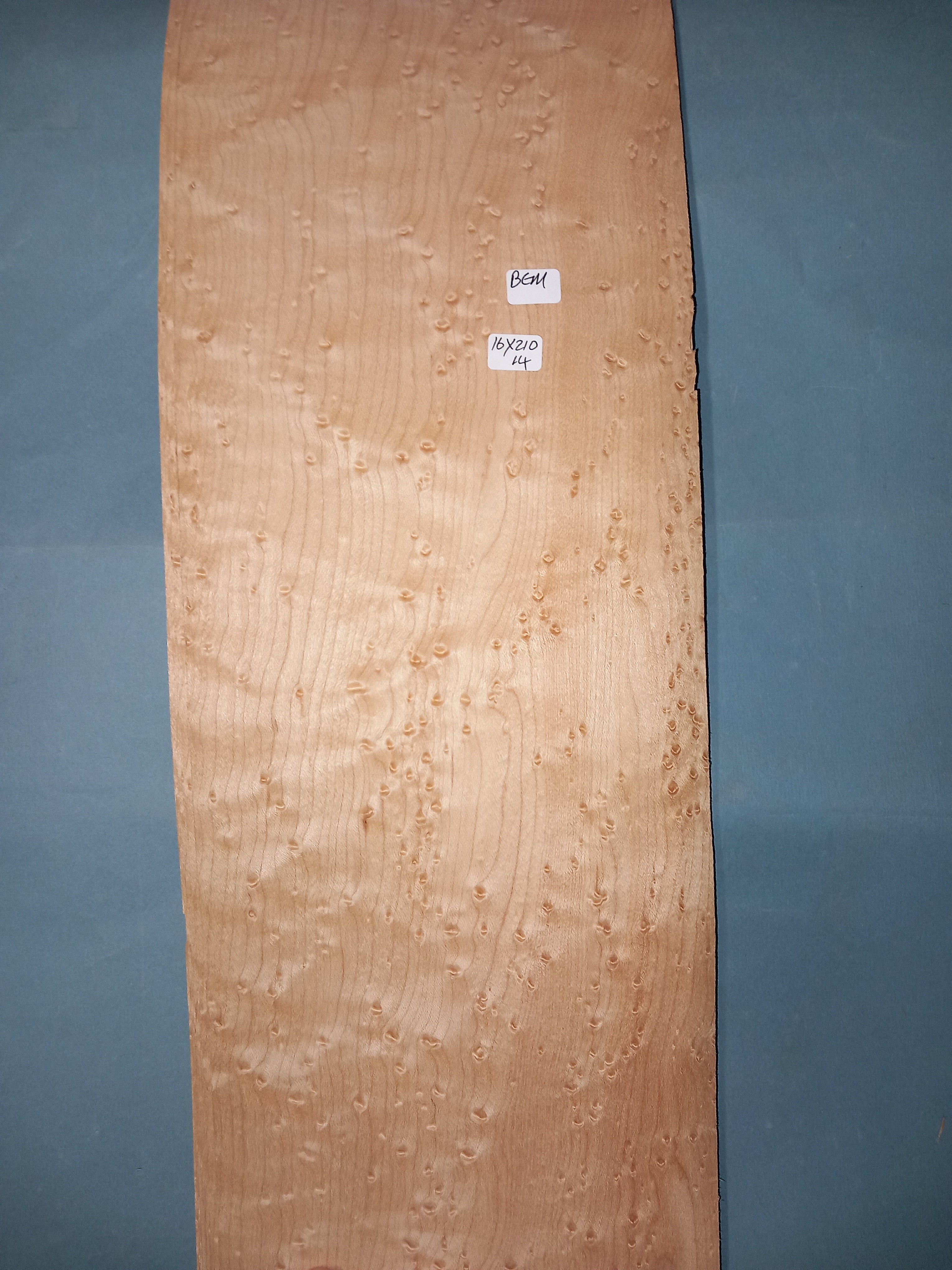 LARGE CONSECUTIVE SHEETS OF BIRDS EYE MAPLE VENEER 16 X 210 CM   20230225 163151 