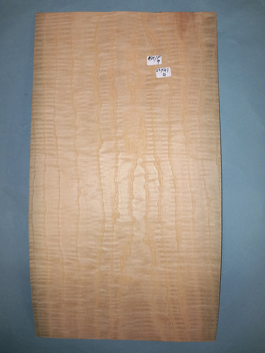 2 CONSECUTIVE SHEETS OF FIGURED ASH VENEER   22 X 41 CM