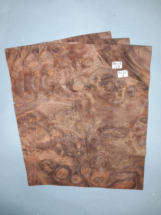 3 CONSECUTIVE SHEETS OF AMERICAN BURR WALNUT VENEER    19 X 25  CM