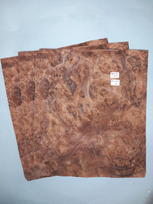 3 CONSECUTIVE SHEETS OF AMERICAN BURR WALNUT VENEER   23 X 26  CM