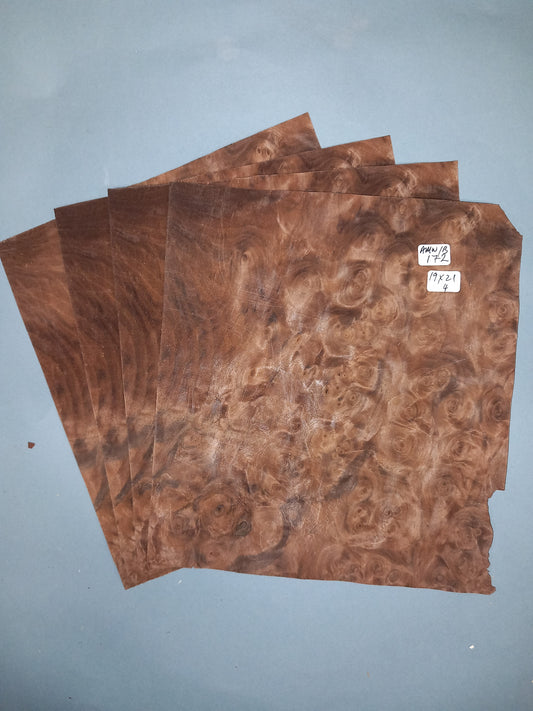 4 CONSECUTIVE SHEETS OF AMERICAN BURR WALNUT VENEER  19 X 21 CM