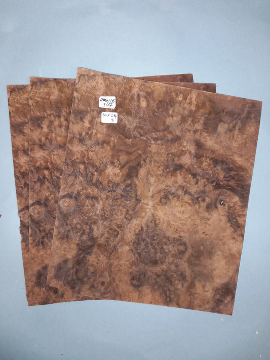 3 CONSECUTIVE SHEETS OF AMERICAN BURR WALNUT VENEER   20 X 24 CM