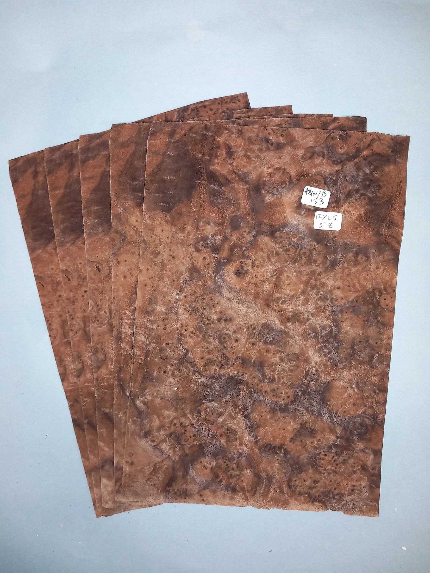 WALNUT AMERICAN BURR - 5 CONSECUTIVE SHEETS 17x25cm
