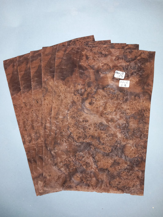 AMERICAN WALNUT BURR - 5 CONSECUTIVE SHEETS 17x25cm