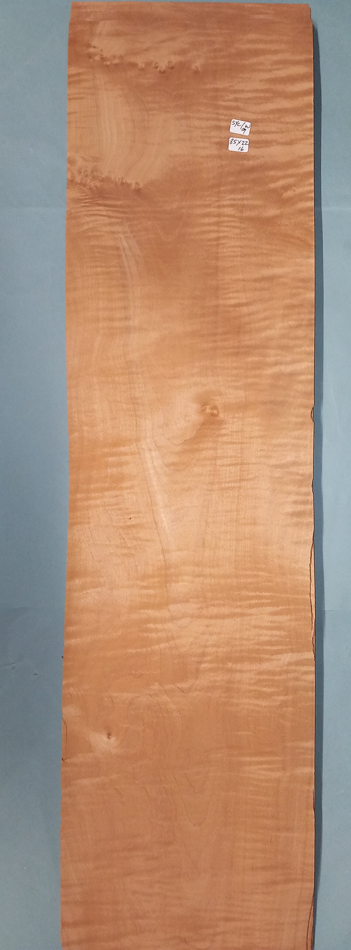 LARGE CONSECUTIVE SHEETS OF WEATHERED SYCAMORE VENEER      85 X 22 CM