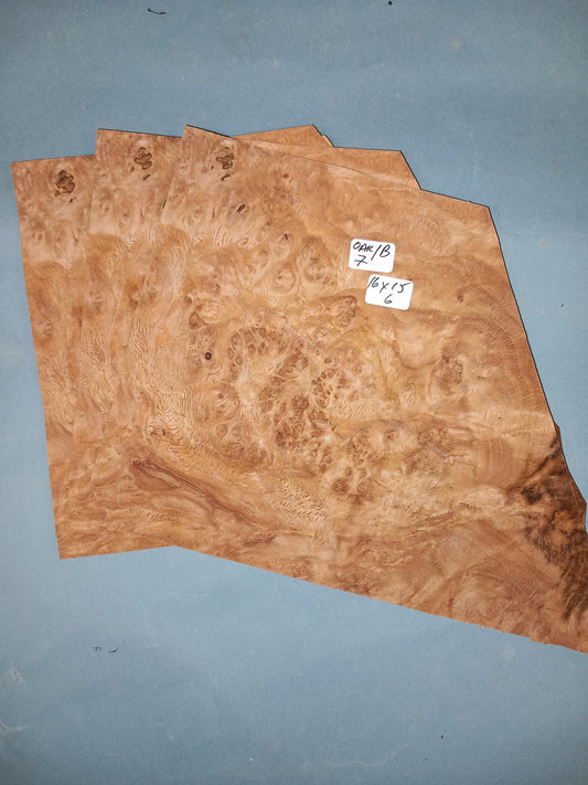 3 CONSECUTIVE SHEETS OF BURR OAK VENEER     16 X 15 CM