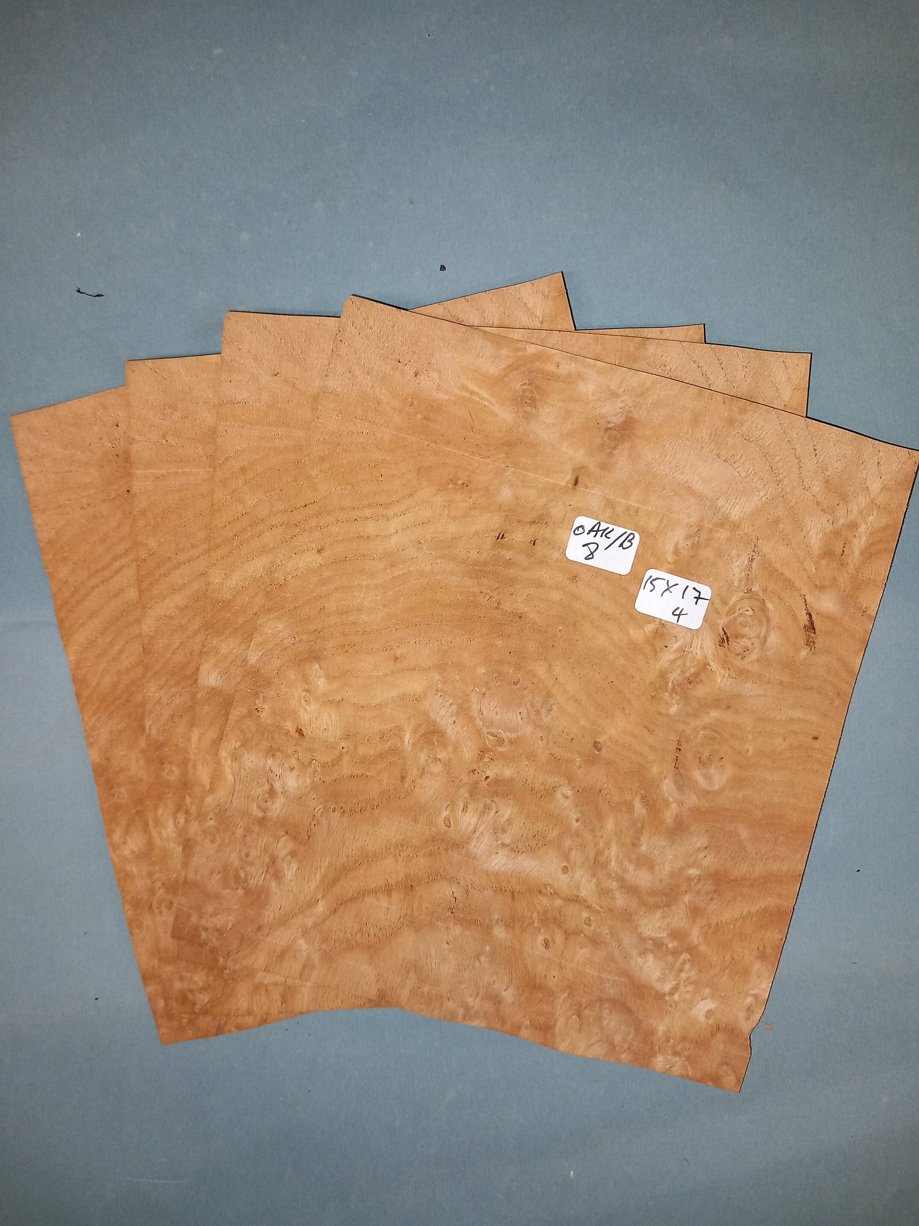 Kleiber, Toppa per jeans, 15 x 17 cm, Beige (beige Kleiber, Toppa per jeans, 15 x 17 cm, Beige (beige