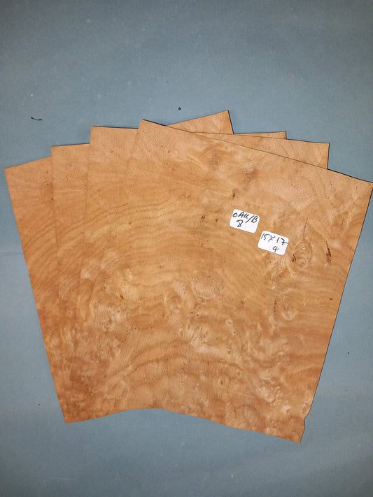 4 CONSECUTIVE SHEETS OF BURR OAK VENEER     17 X 15 CM