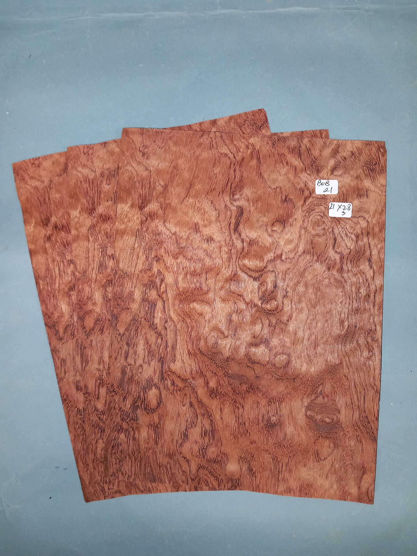 3 CONSECUTIVE SHEETS OF BUBINGA VENEER         21 X 28 CM