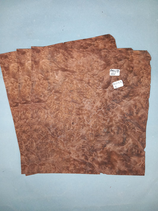 3 CONSECUTIVE SHEETS OF AMERICAN BURR WALNUT VENEER     20 X 22 CM