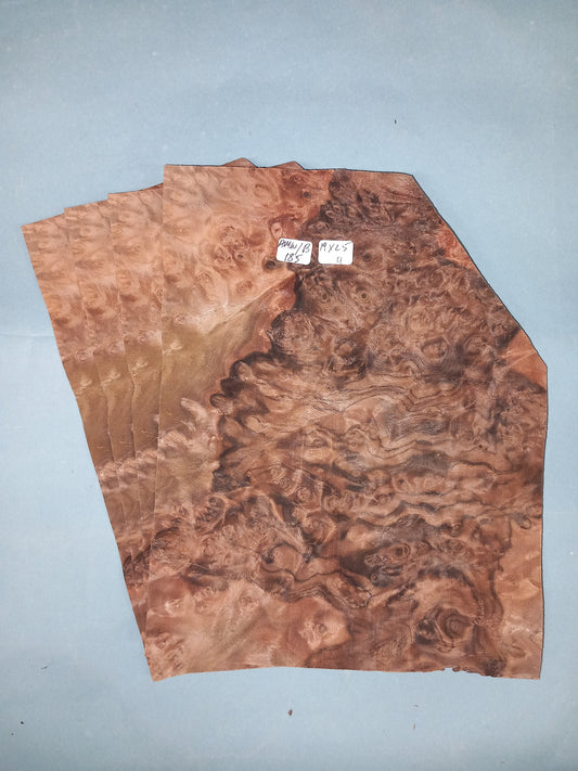 4 CONSECUTIVE SHEETS OF AMERICAN BURR WALNUT VENEER     19 X 25 CM