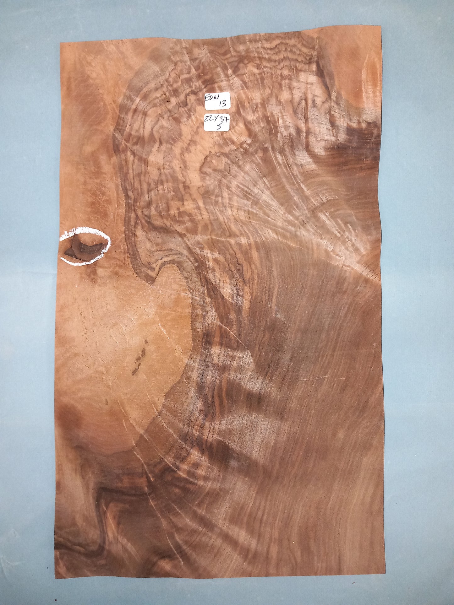 CONSECUTIVE SHEETS OF EUROPEAN WALNUT VENEER     22 X 37 CM