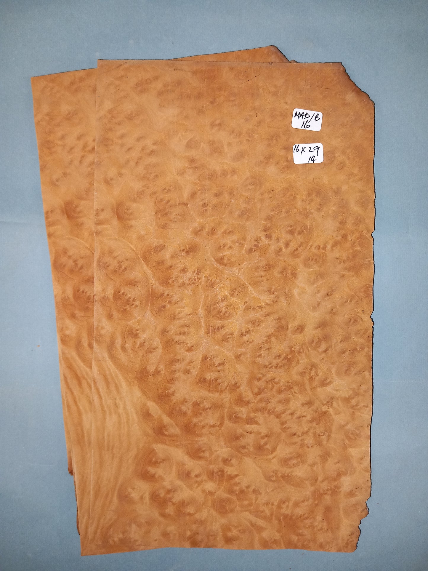 2 CONSECUTIVE SHEETS OF BURR MADRONE VENEER     16 X 29 CM